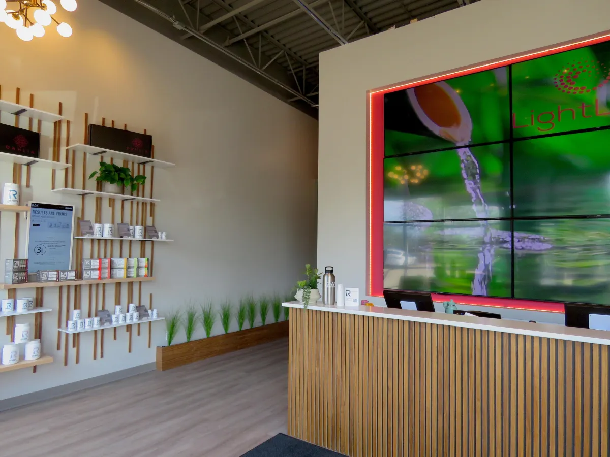 waterfalls in the middle of green trees during daytime