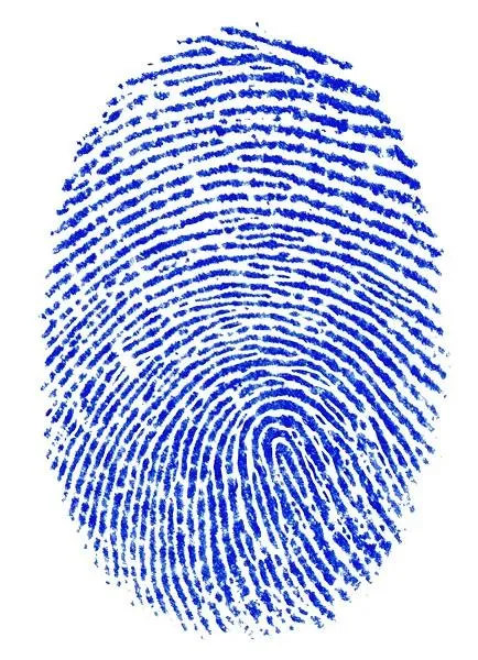 A fingerprint to show you don't have to register your hands as deadly weapons.
