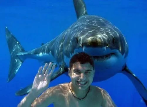 Shark sneaking up on swimmer used to show why situational awareness is critical in self-defense.