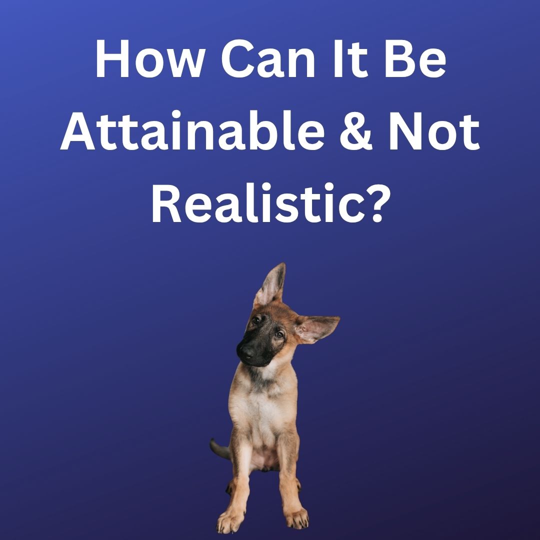 A puppy with a tilted head illustrating the inane SMART goals