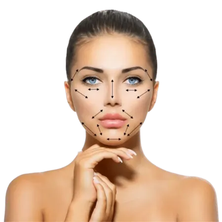 A graphic of a woman's face showing the areas in which Sculptra injections can stimulate collagen growth.
