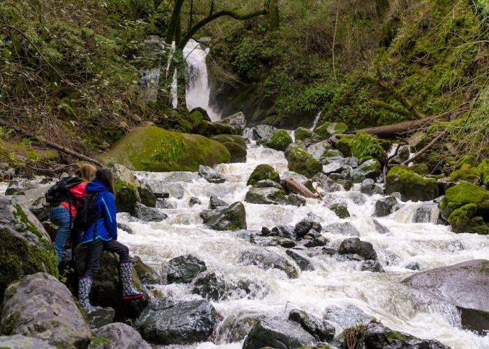 Russian River Vacation Homes team photo