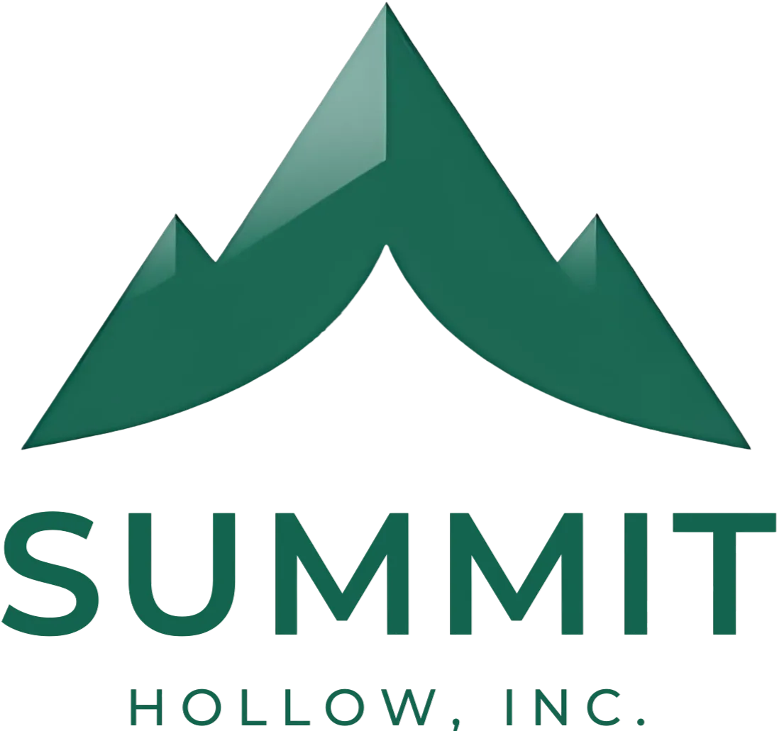 Summit Horizon Inc logo representing strategic guidance and growth support