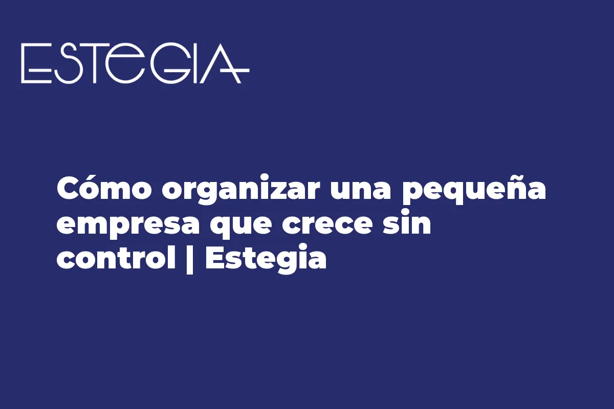 Cómo organizar una pequeña empresa que crece sin control | Estegia