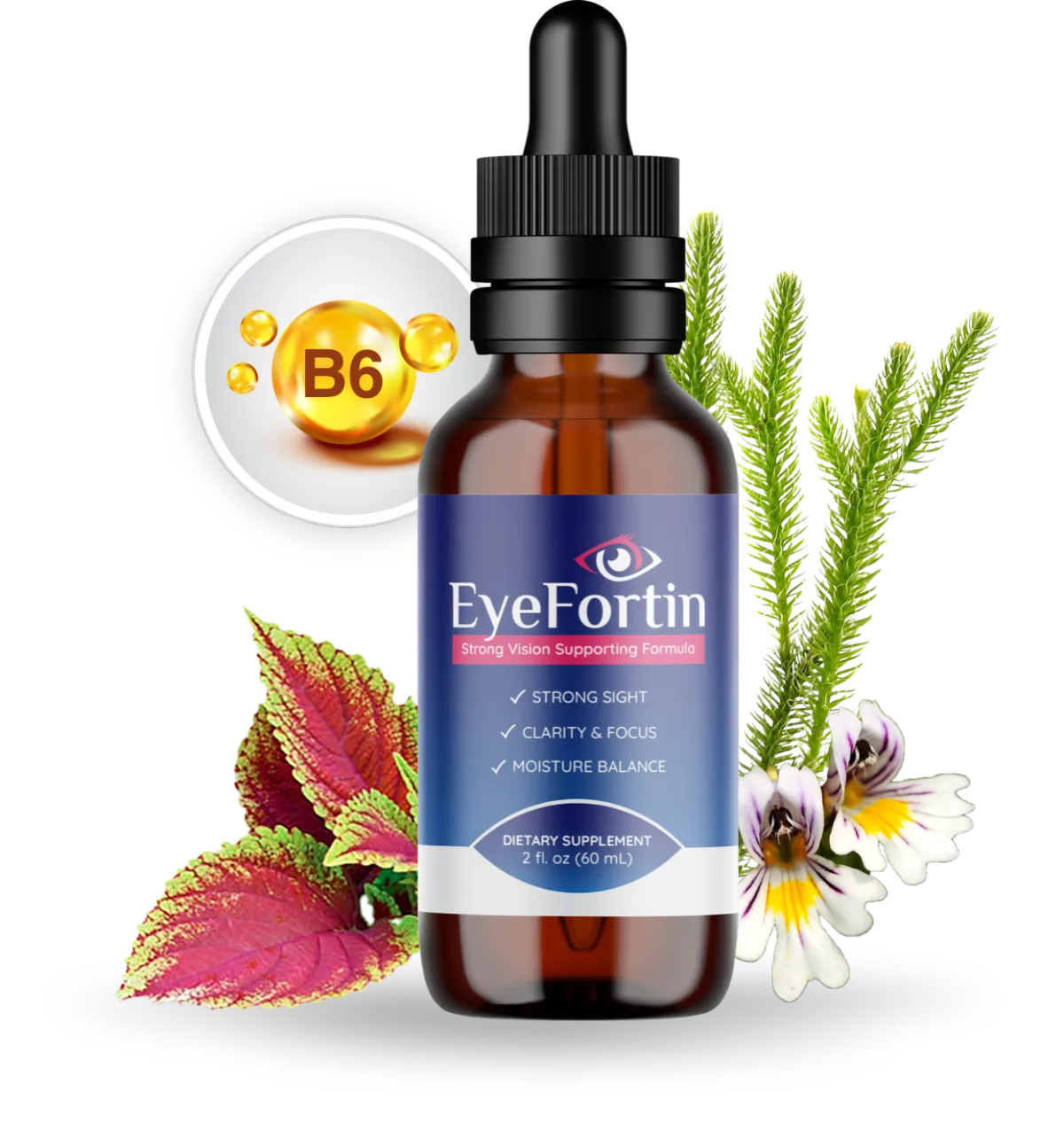 image displays Eyefotin botte