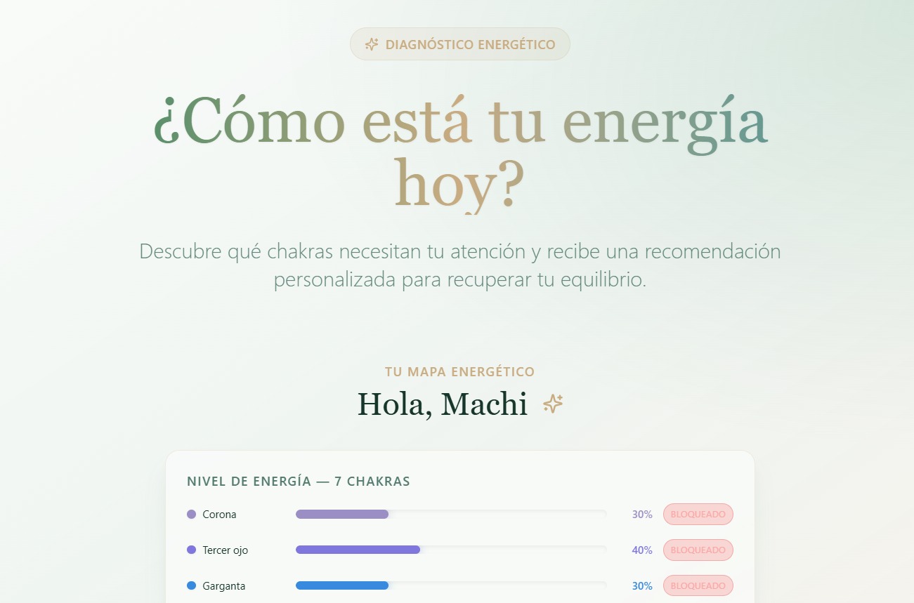 Web App - Holística