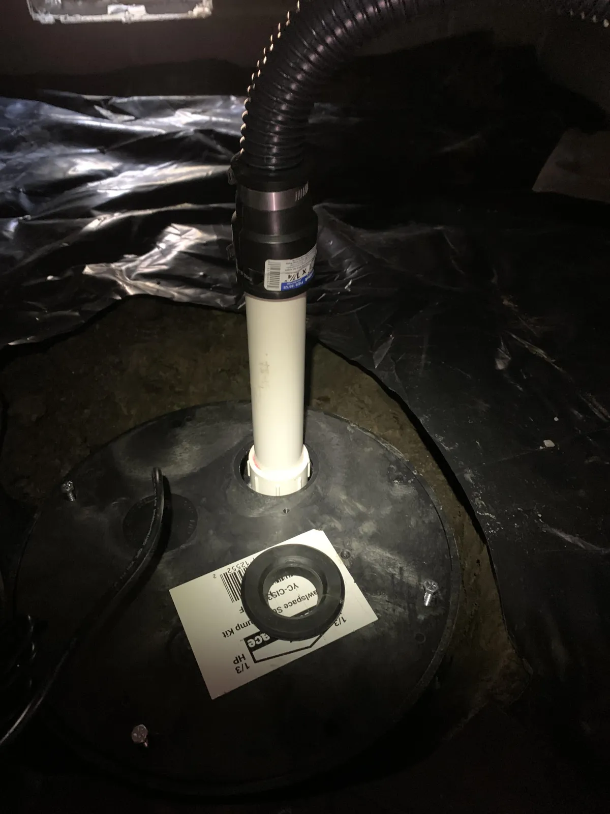 Summerville Mold Treatment