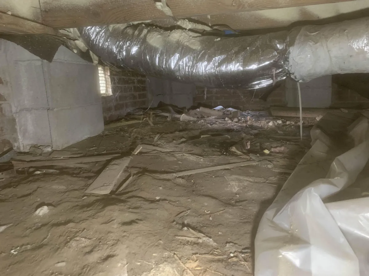Johns Island Mold Treatment