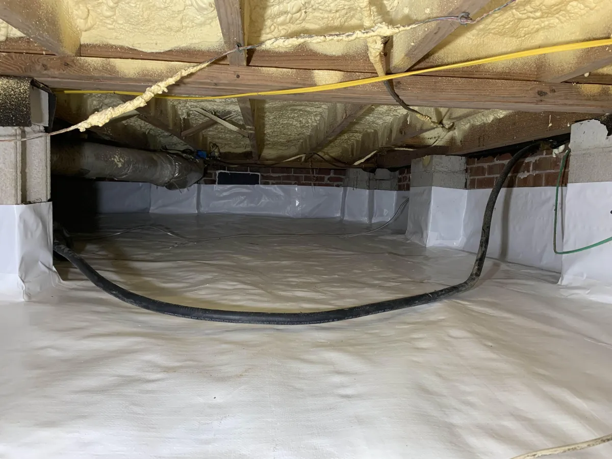 Mold Treatment Charleston