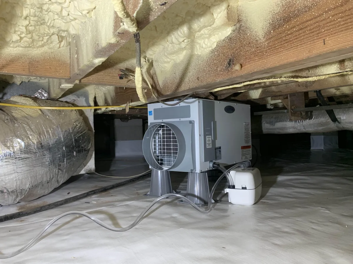 Charleston Crawlspace Encapsulation