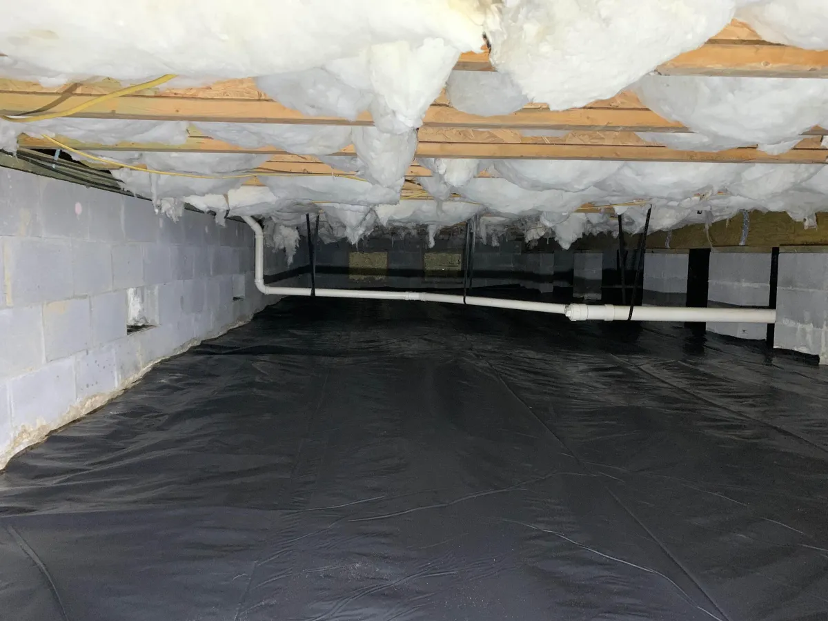 Charleston Mold Treatment