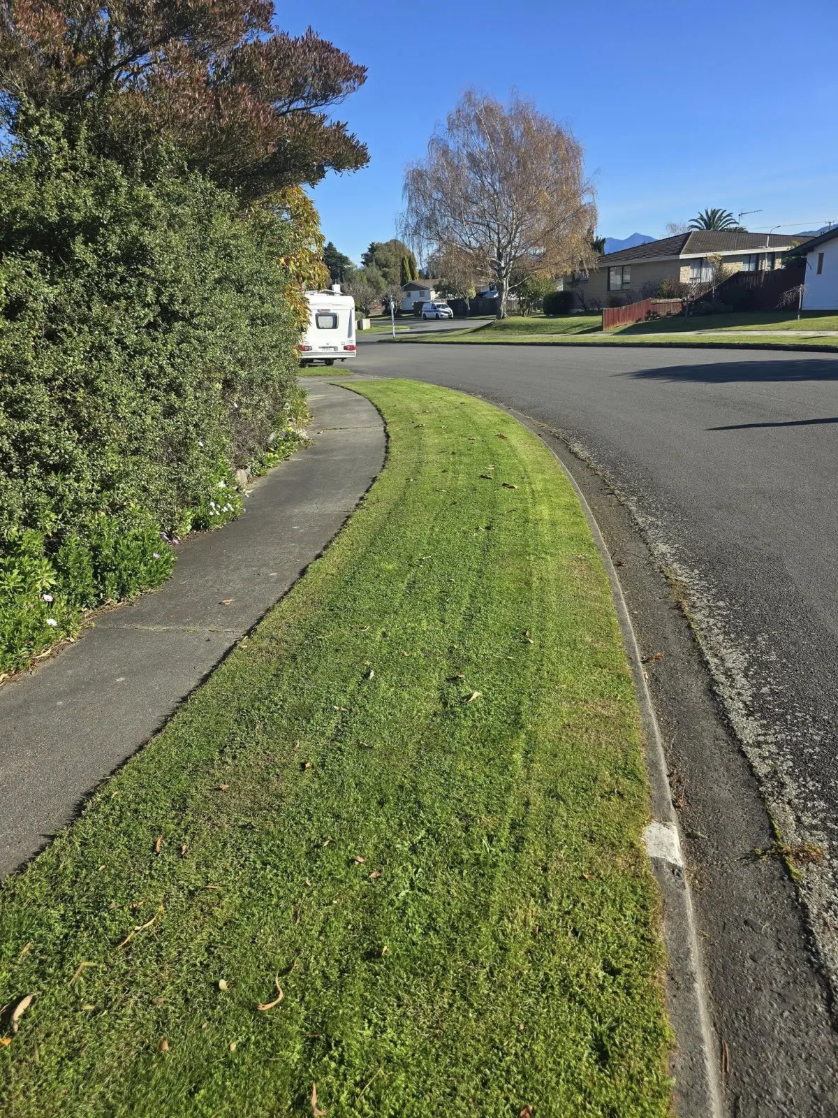 Lawn mowing and outdoor maintenance in Blenheim