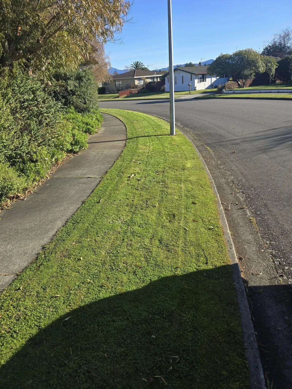 Edge trimming and lawn care in Blenheim
