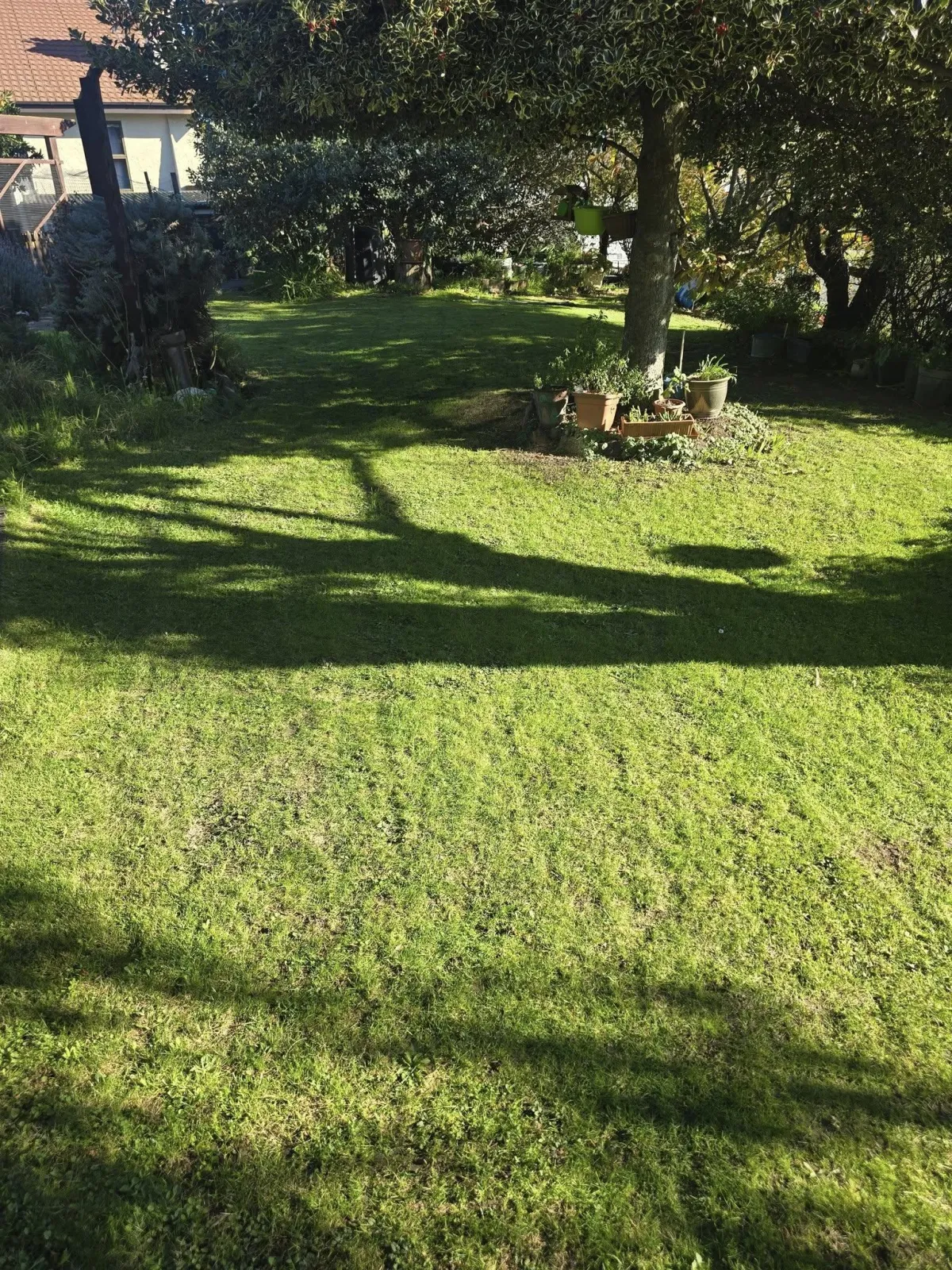 Rubbish and garden debris removal in Blenheim