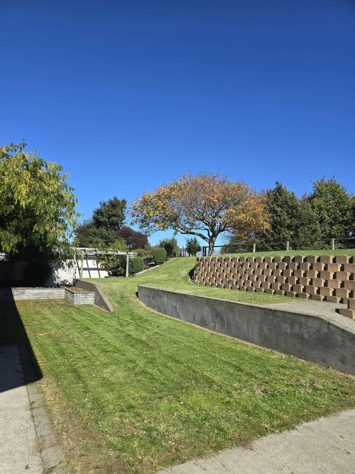 Property clean-up and garden tidy-up in Blenheim