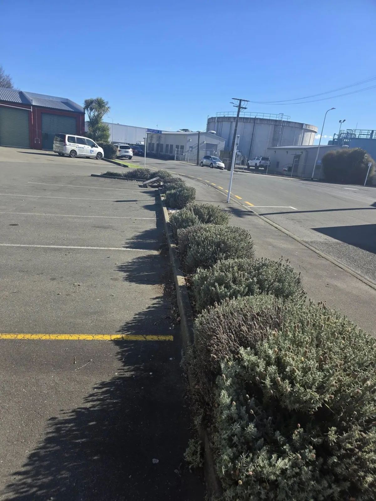 Hedge trimming service in Blenheim