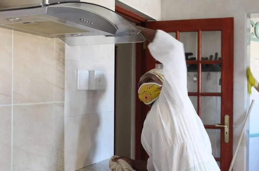 proclean cleaning services