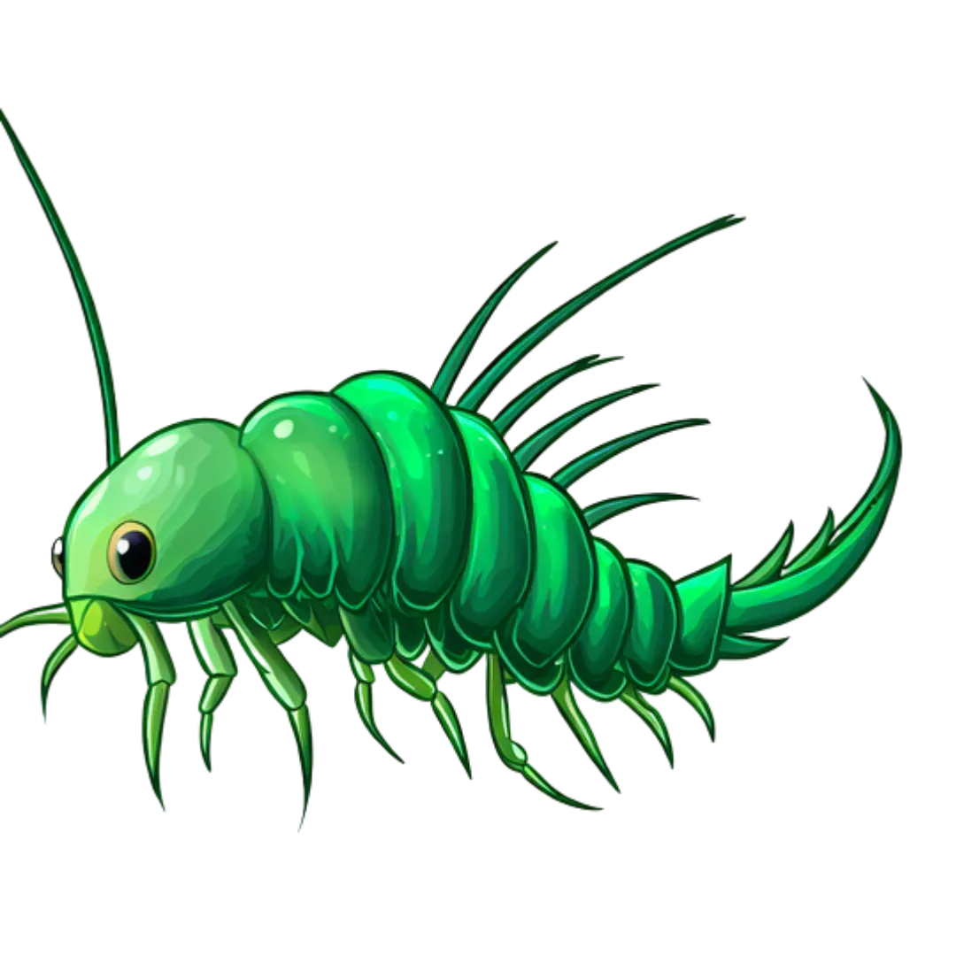 green cartoon of a silverfish