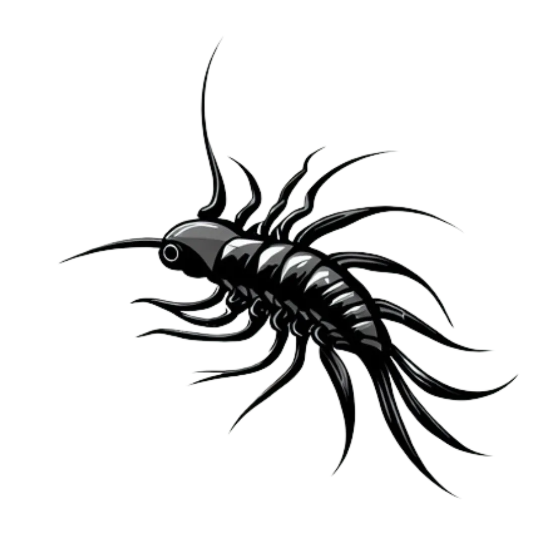 a black logo of a silverfish