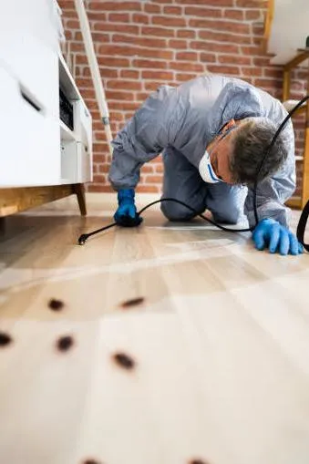 a photograph of a Vancouver pest control technician spaying a tree for pests