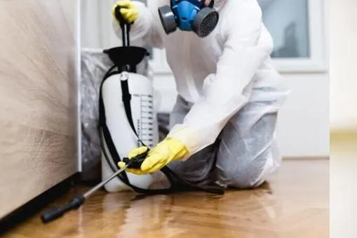 a Vancouver pest control technician spraying underneath a kitchen cabinet for pests