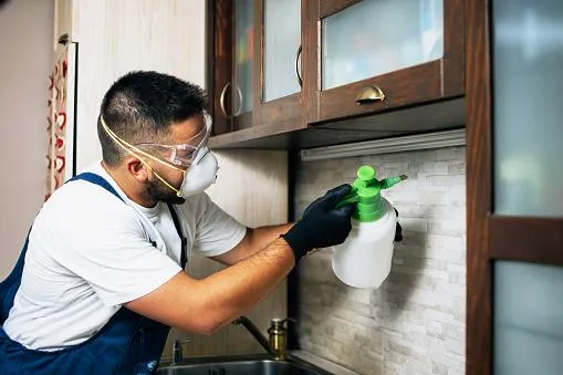 a victoria pest control technician spraying underneath a kitchen cabinet for pestso