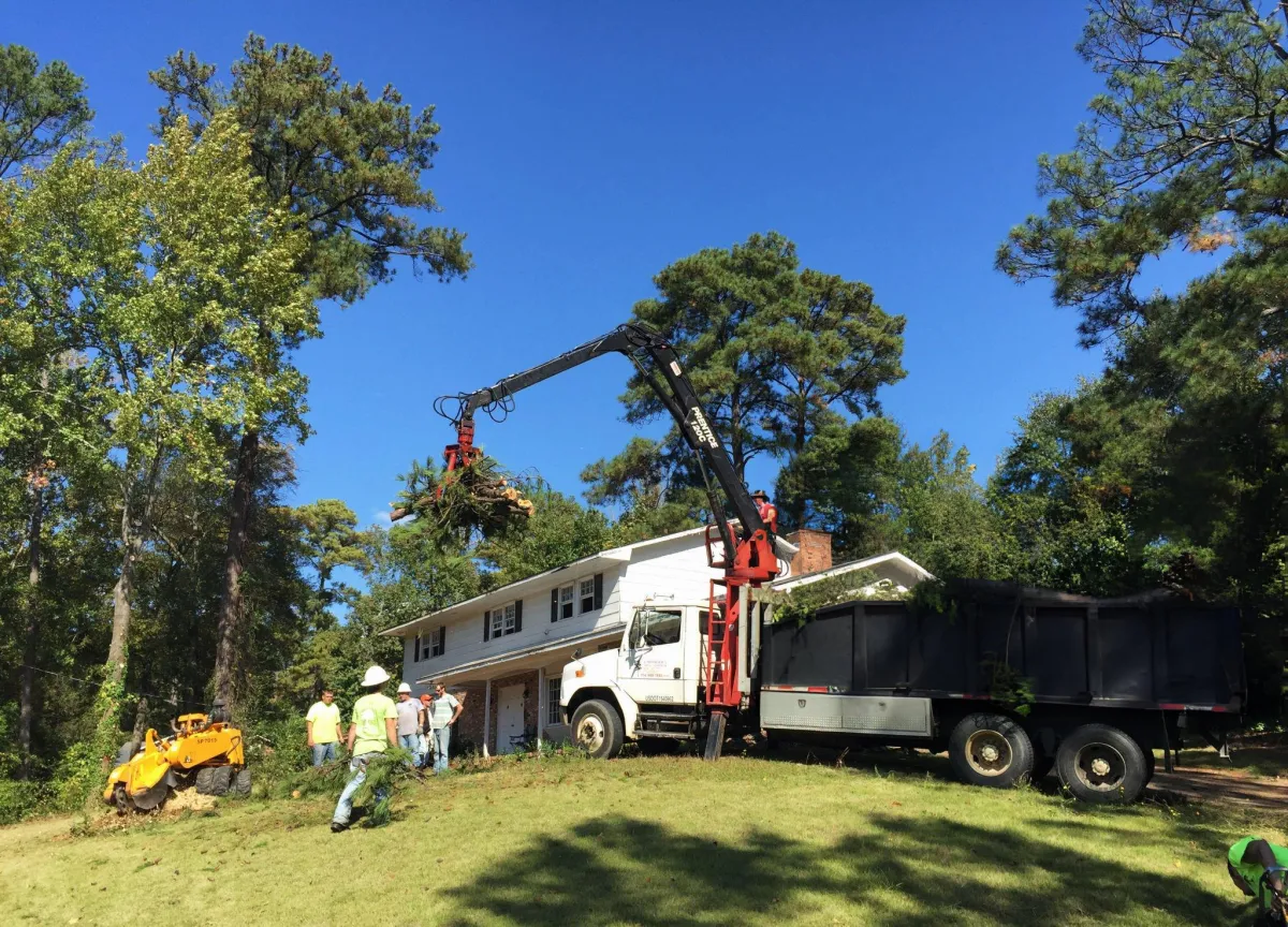 Residential tree services