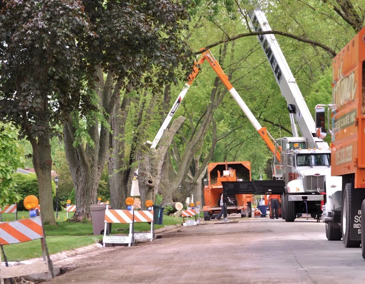  Commercial tree service