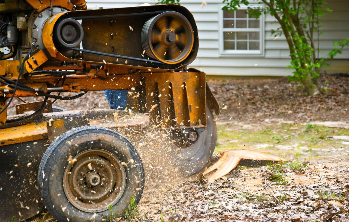 Stump Grinding