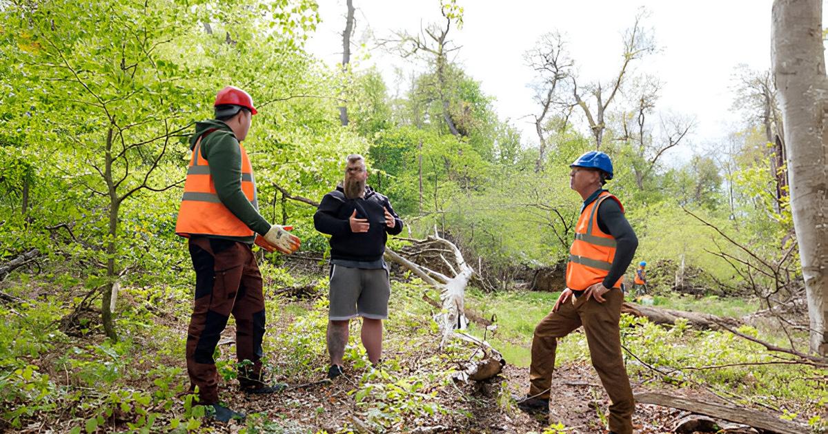 tree cutting service Amarillo TX