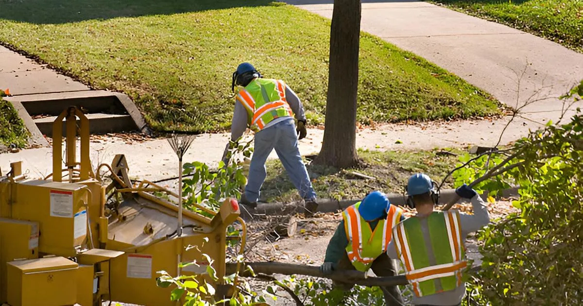 hazardous tree removal Amarillo TX