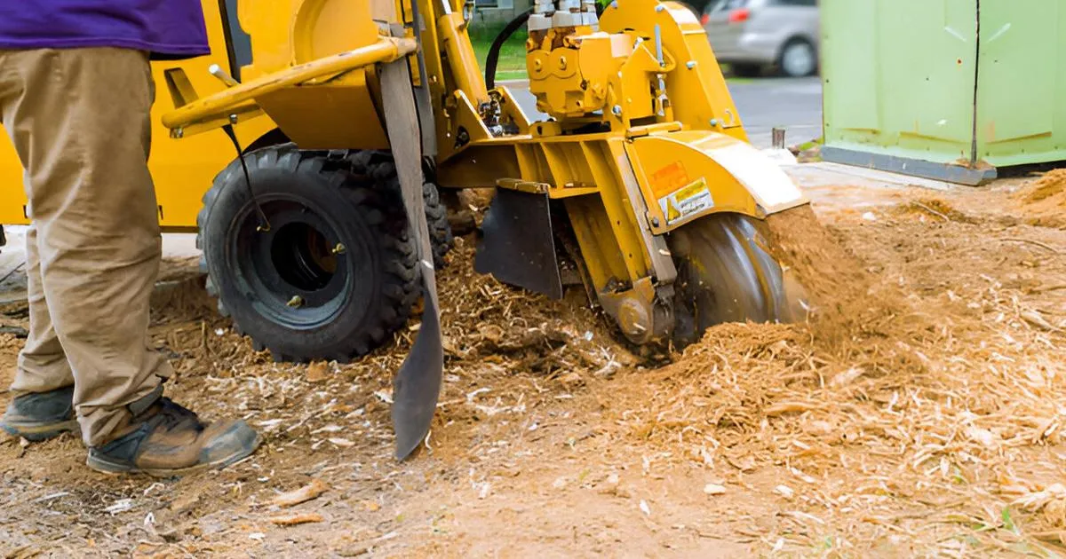 stump grinding Amarillo TX