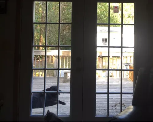 Trim Carpentry Wake County