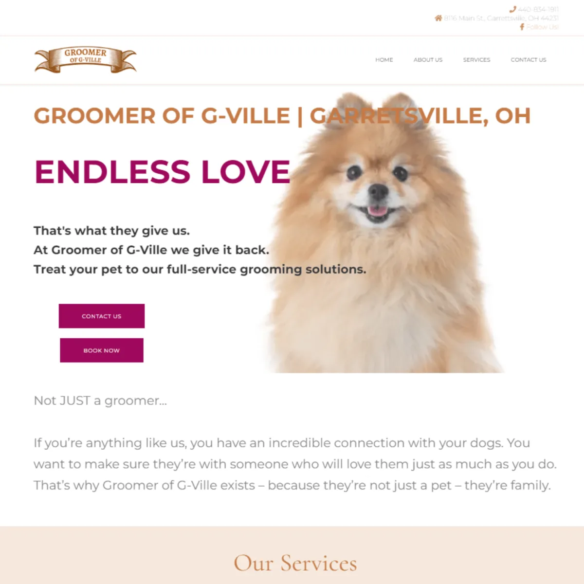 Dog Groomer Website