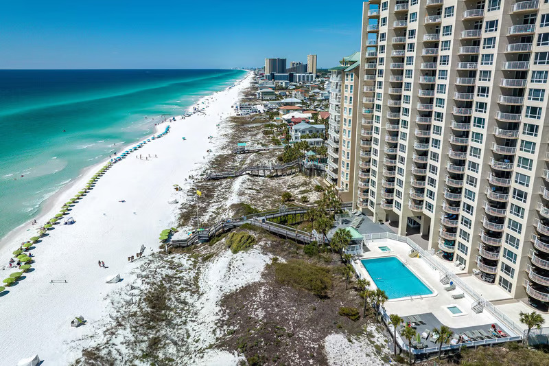 Palm trees line a beach with yellow houses behind.