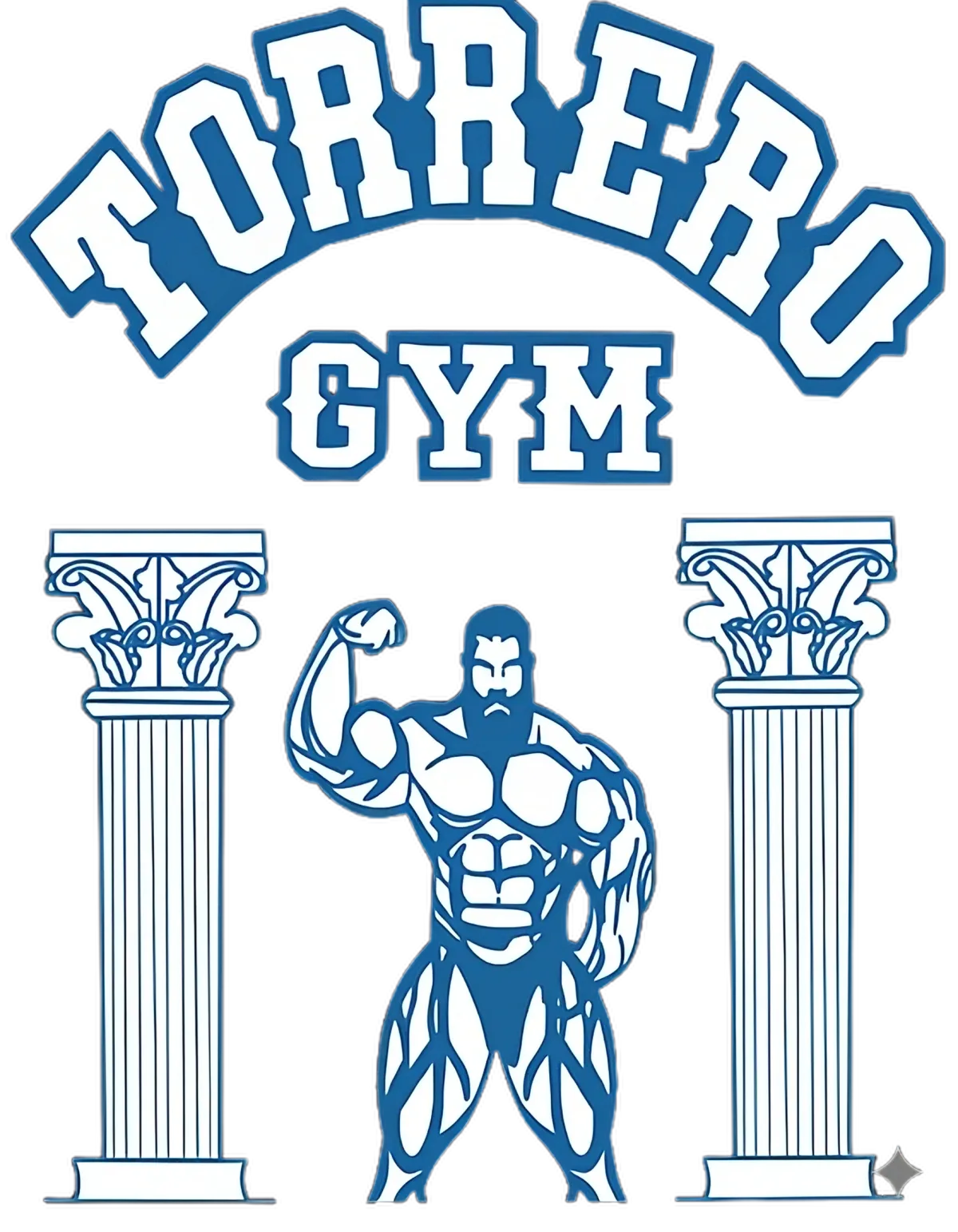 Logo de Torrero Gym gimnasio fitness salud entrenamiento