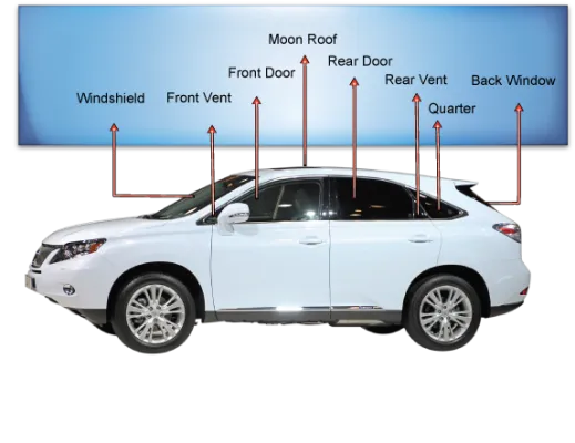 Auto Glass Diagram