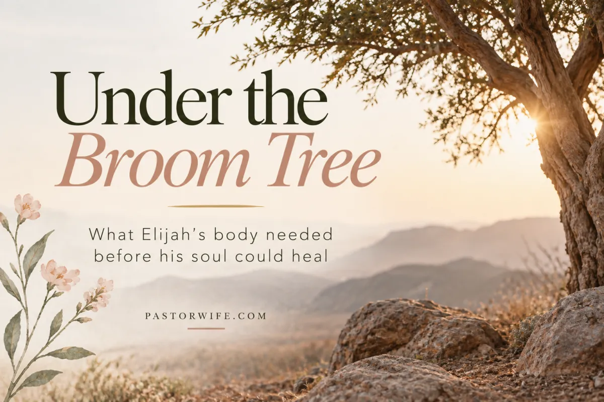 Under the Broom Tree