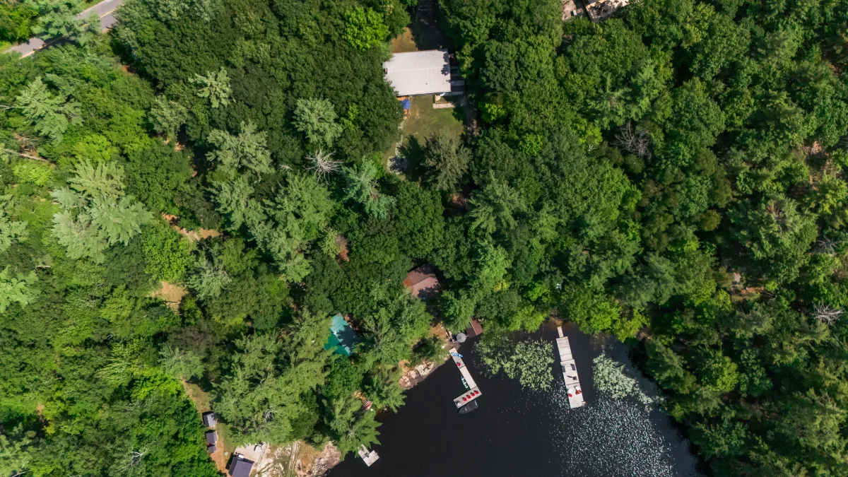 a body of water surrounded by trees and houses