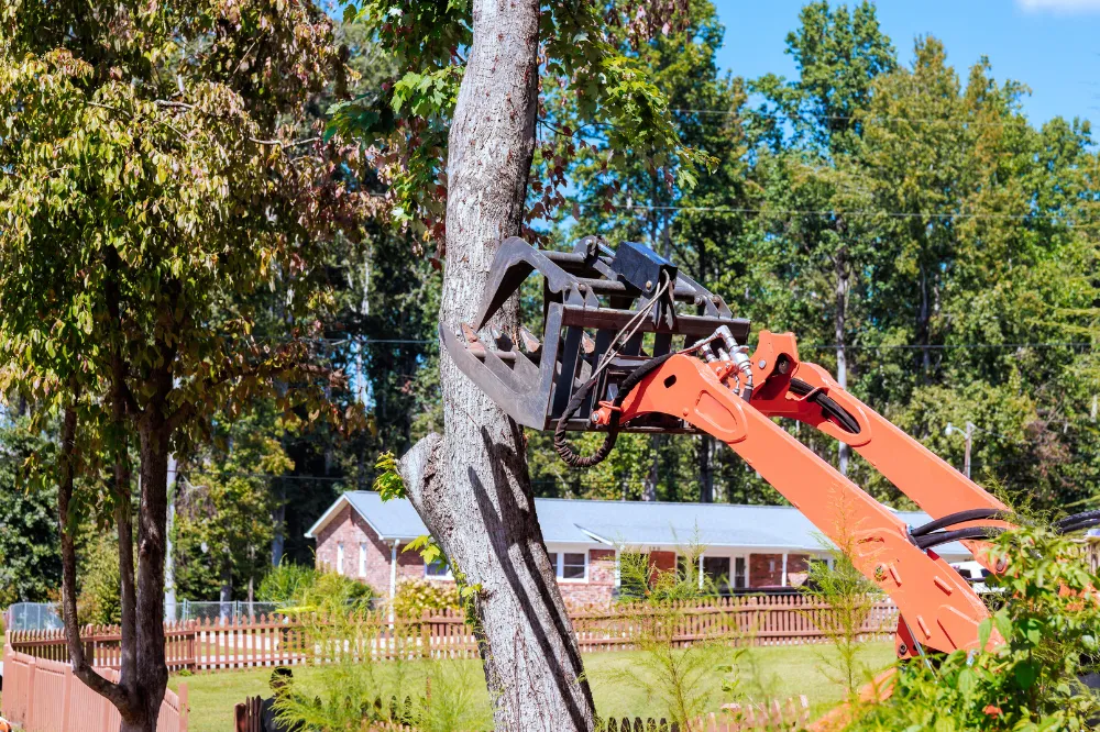 Technician inspecting used tires