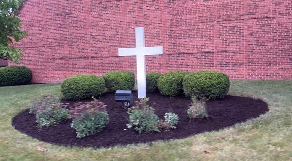 person holding brown and black frog