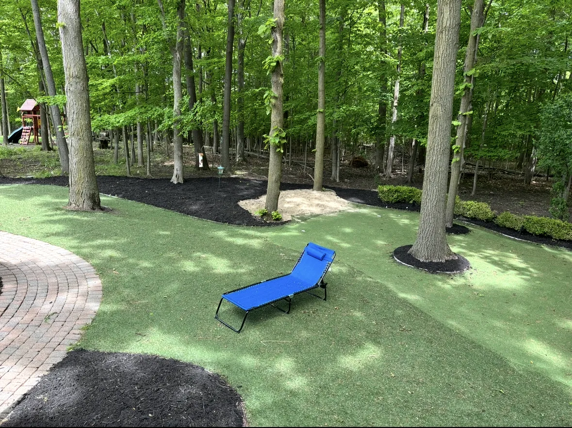 person holding brown and black frog