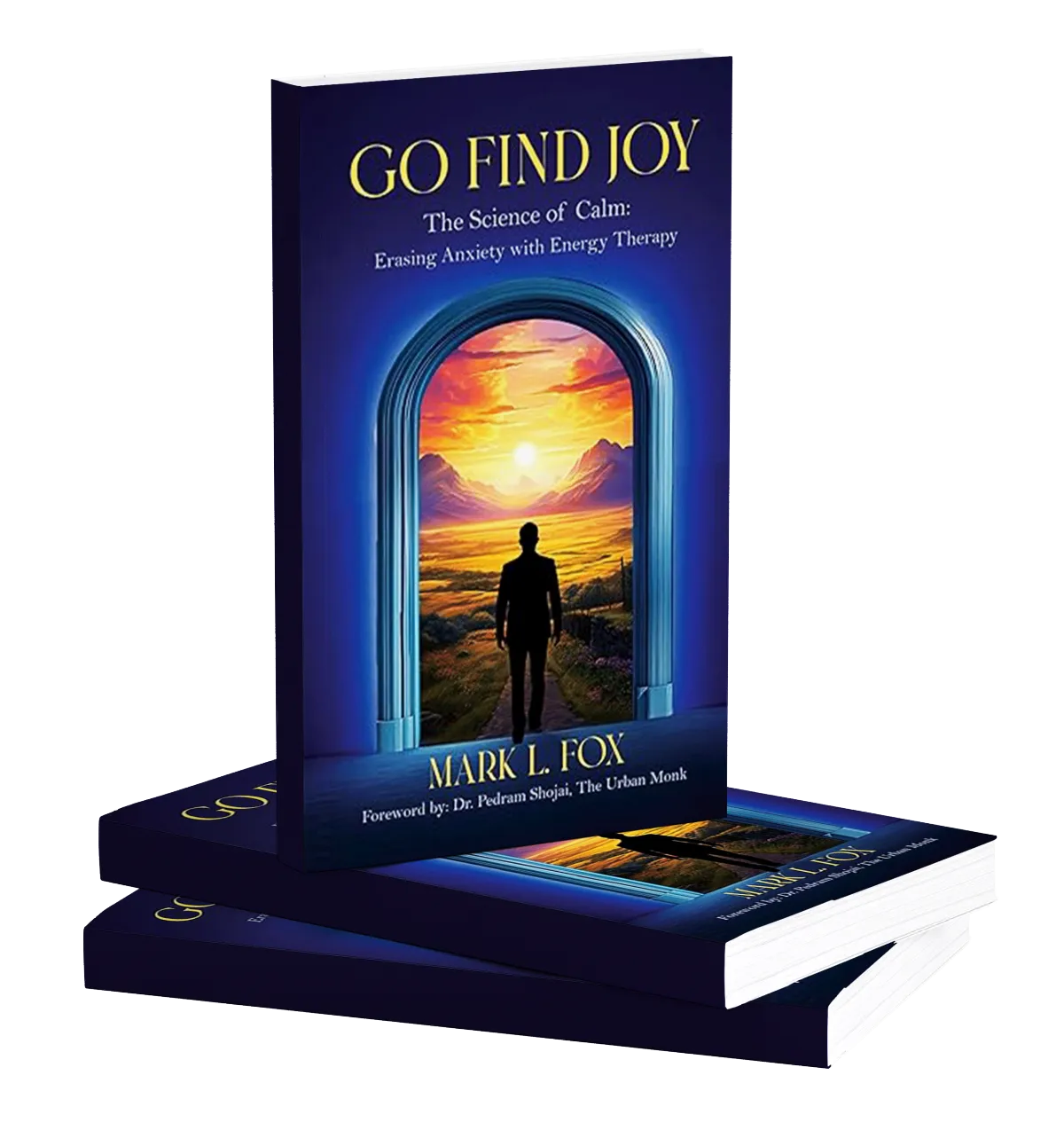 Free DOWNLOAD copy of Go Find Joy