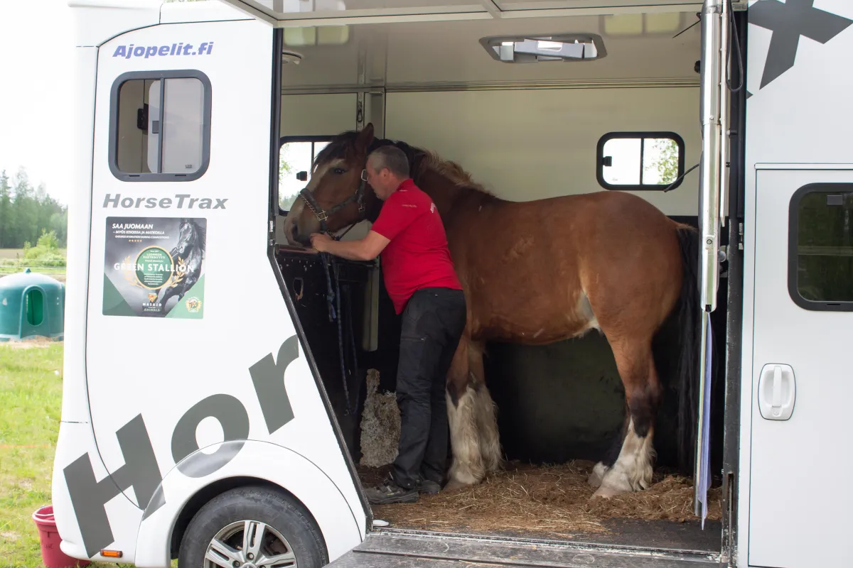 Green Stallion auttaa hevosta juomaan matkoilla