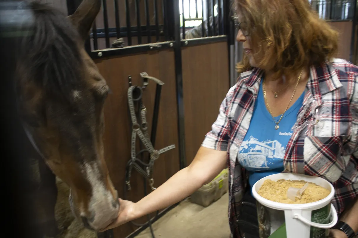 Green Stallion on helppo käyttää eikä se sotke