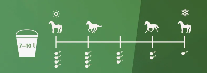 3-4 mittaa kesäisin ja 1-2 mittaa talvisin reseptiikka