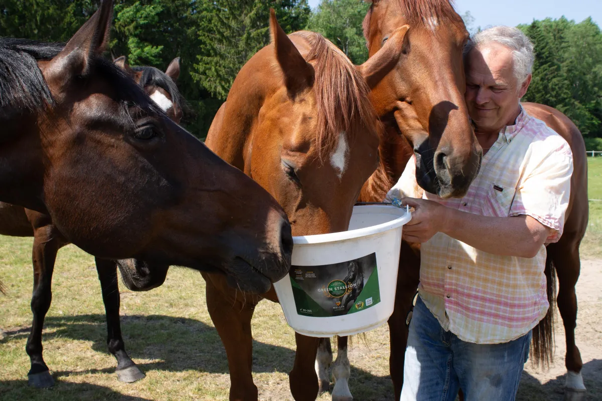 Green Stallion helpottaa juottamista