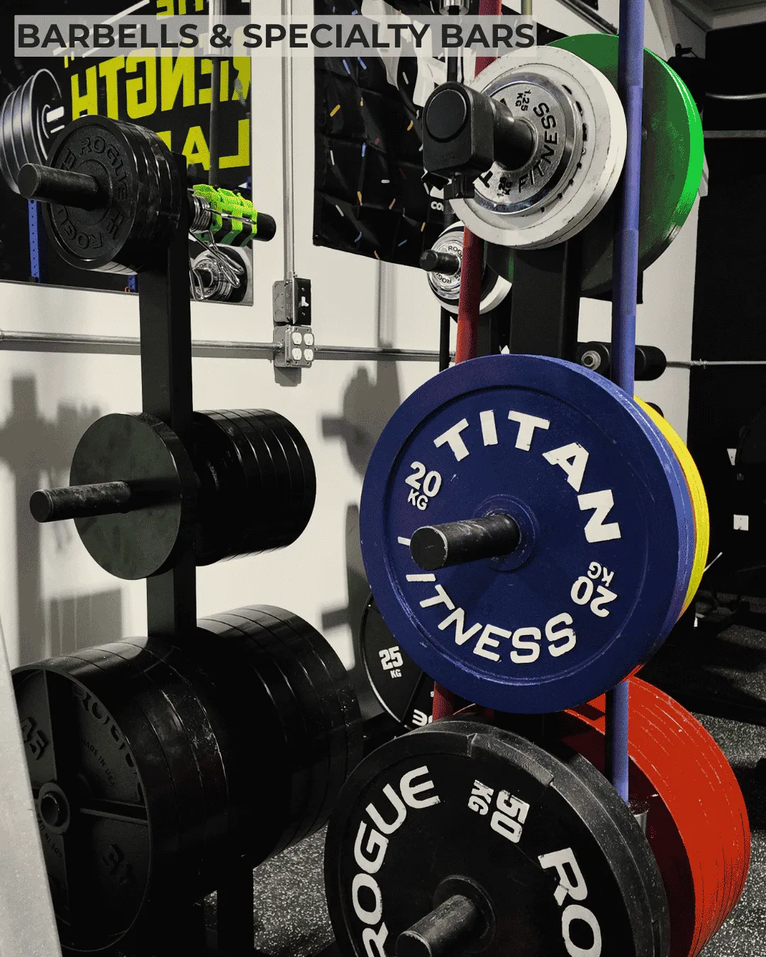 Professional powerlifting specialty bars and Titan Fitness competition weight plates at the premier strength gym serving Danbury, CT.