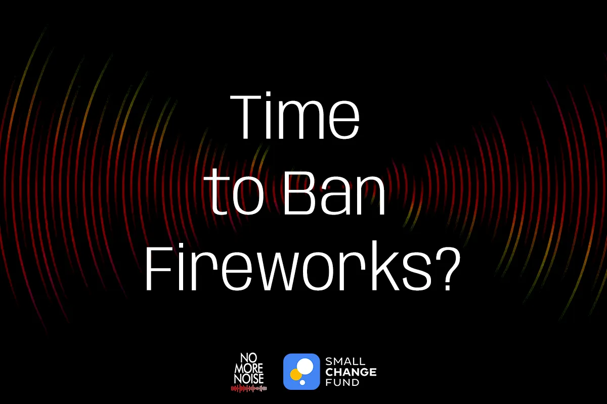 Is It Time to Ban Fireworks?