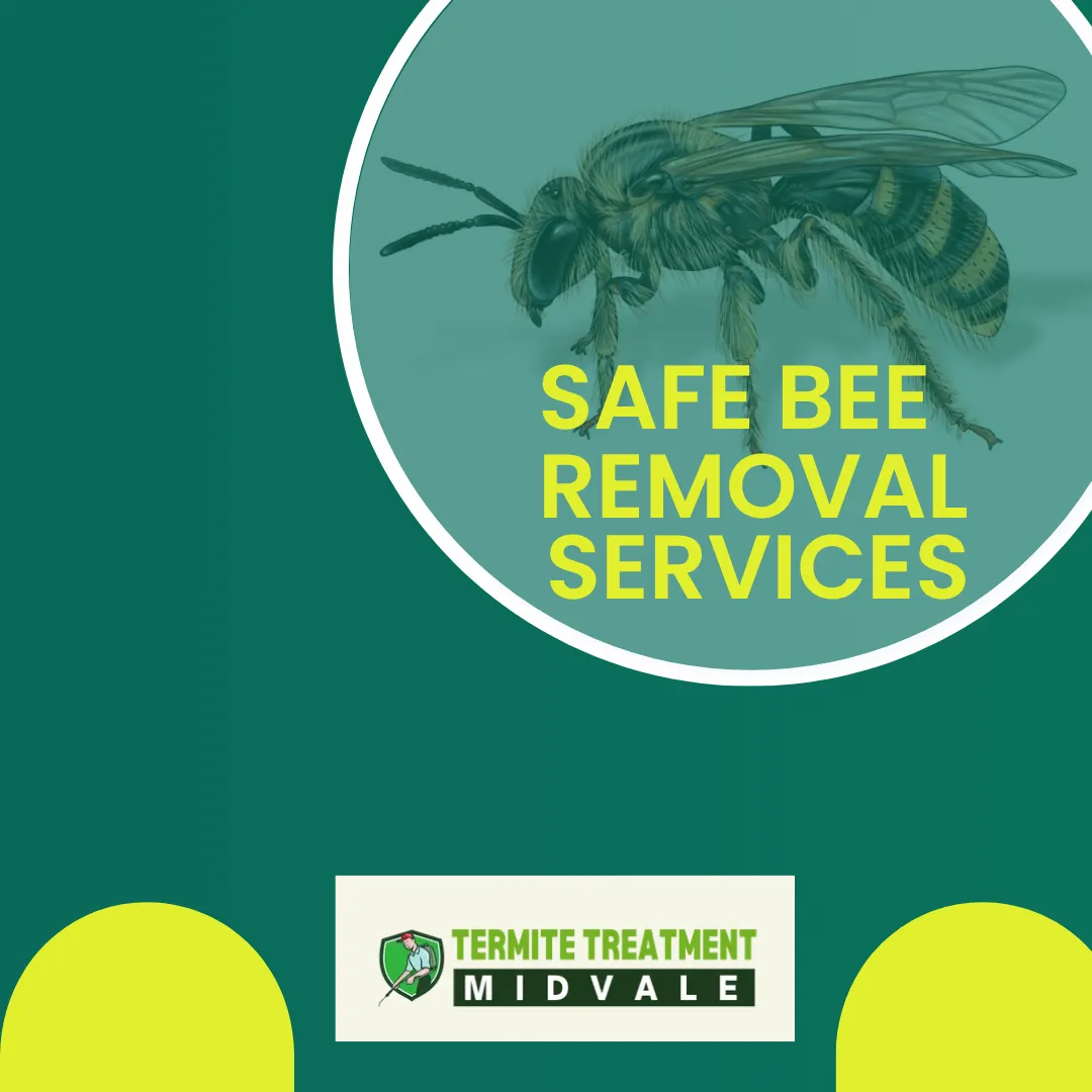 Safe bee removal